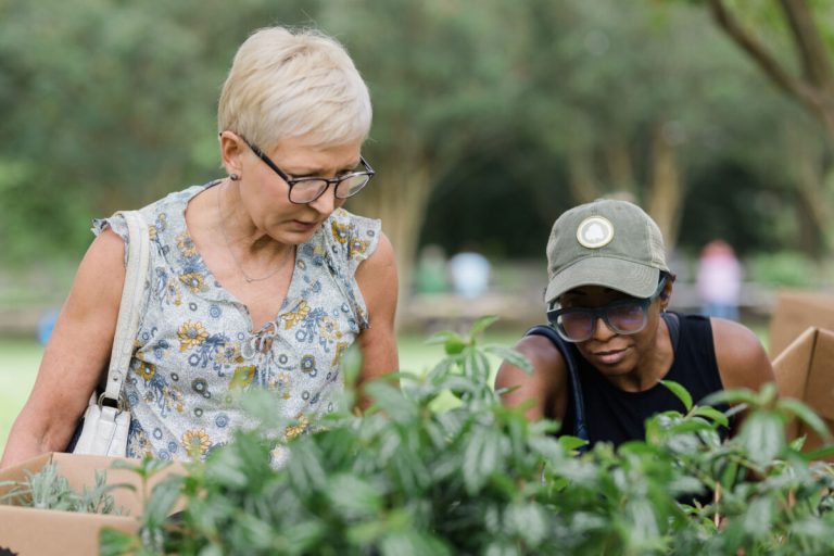 16 weekend events in Birmingham including 2 spring plant sales + funky fish fry—April 11-14 16 weekend events in Birmingham including 2 spring plant sales + funky fish fry—April 11-14