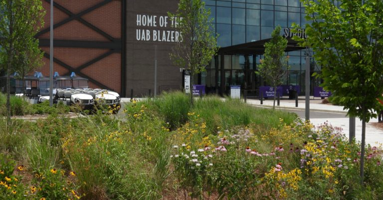 Pollinator Trails: Putting native plants back into our landscapes by creating “Homegrown National Parks” Pollinator Trails: Putting native plants back into our landscapes by creating “Homegrown National Parks”