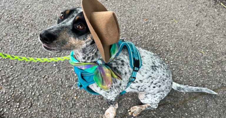 23 spring festivals you won’t want to miss, including Do Dah Day 23 spring festivals you won’t want to miss, including Do Dah Day