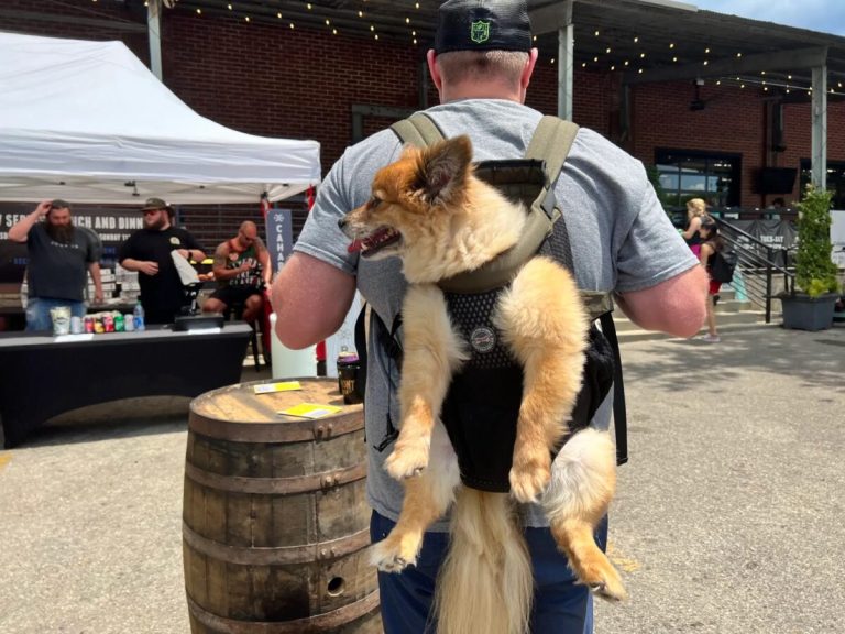25 weekend events—Do Dah Day, Birmingham Taco Fest + more (May 15-17) 25 weekend events—Do Dah Day, Birmingham Taco Fest + more (May 15-17)