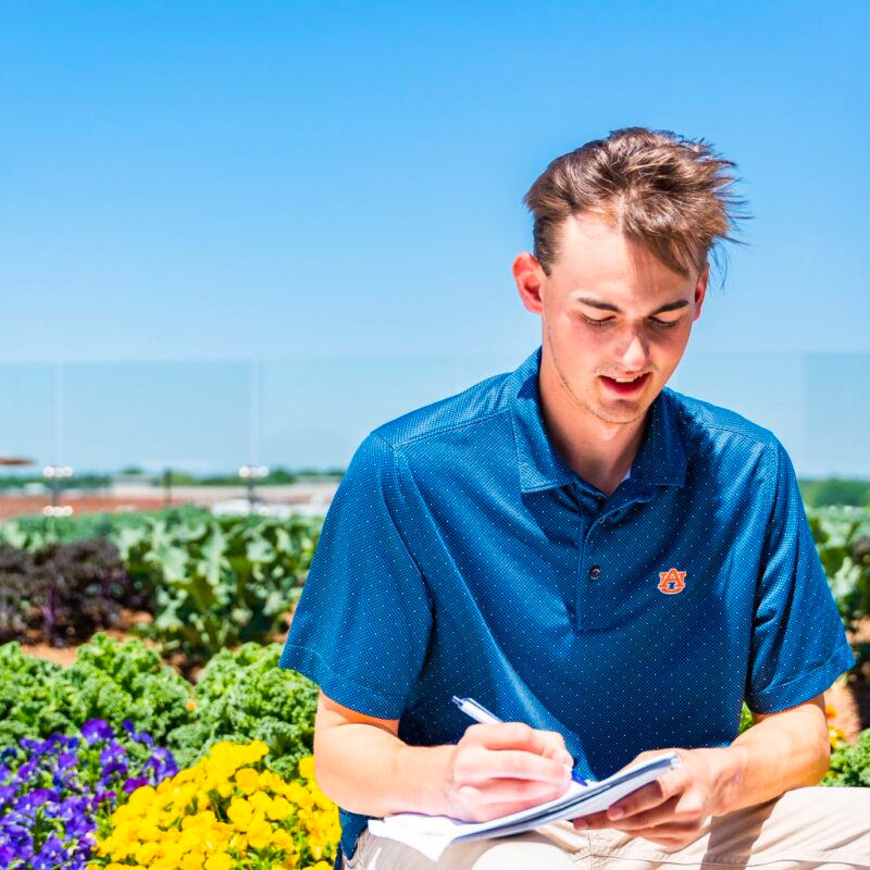 Here’s how you can study agriculture at Auburn + save money Here’s how you can study agriculture at Auburn + save money