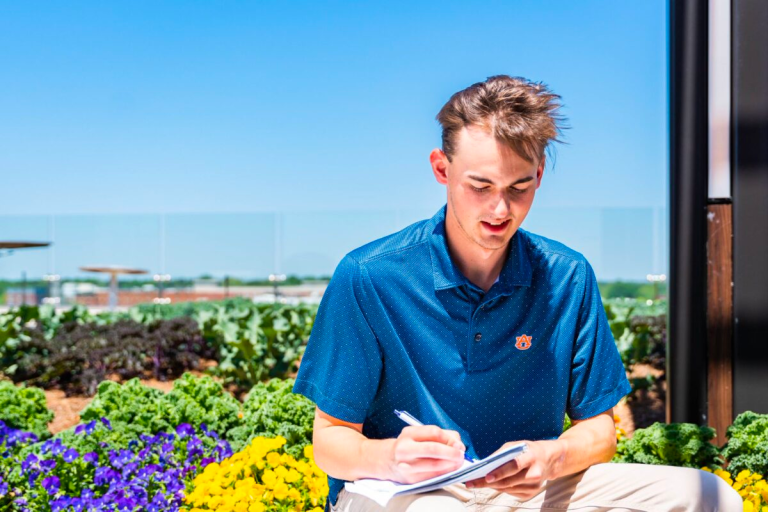 Here’s how you can study agriculture at Auburn + save money Here’s how you can study agriculture at Auburn + save money