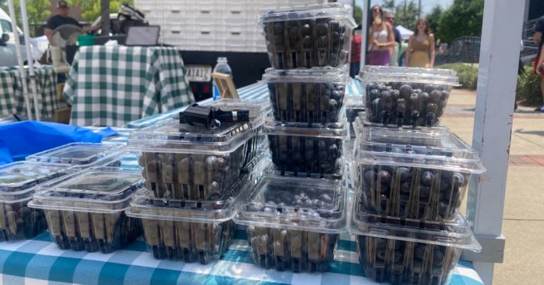 7 U-pick farms within an hour’s drive of Birmingham that have ripe + ready produce 7 U-pick farms within an hour’s drive of Birmingham that have ripe + ready produce