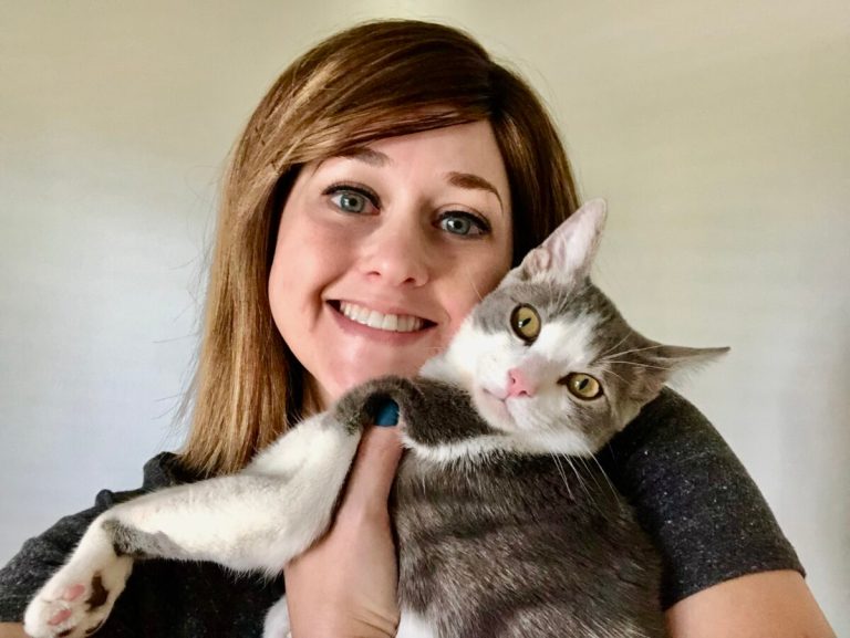 Adopting a cat in Birmingham—my Kitty Kat Haven story Adopting a cat in Birmingham—my Kitty Kat Haven story