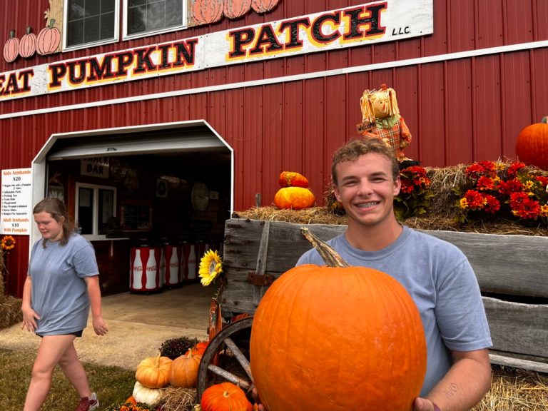 7 perfect pumpkin patches near Birmingham—everything you need to know 7 perfect pumpkin patches near Birmingham—everything you need to know