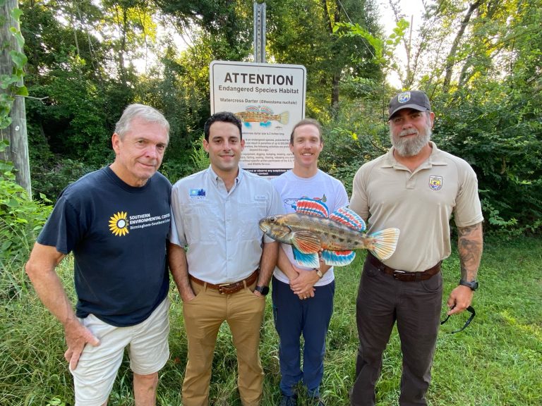 Golfers + environmental advocates team up to protect rare watercress darter Golfers + environmental advocates team up to protect rare watercress darter