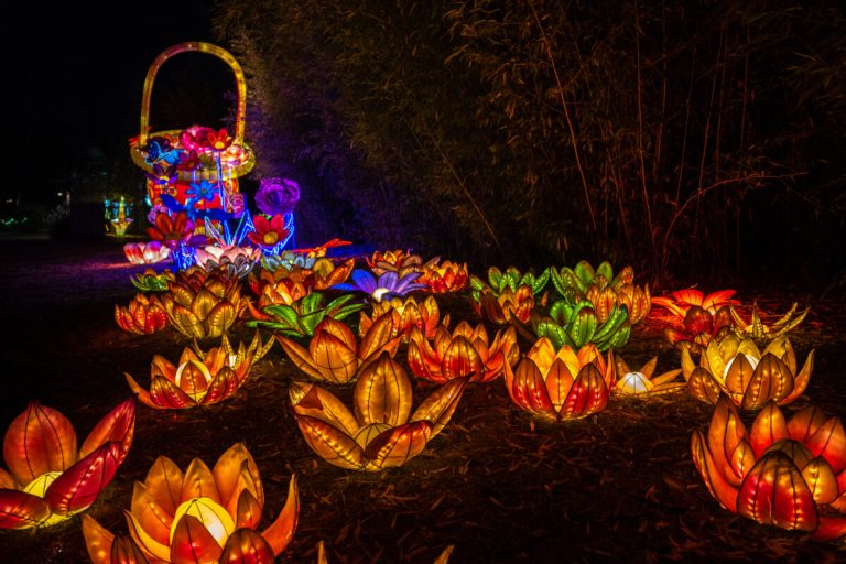 6 spectacular holiday light shows to see around Birmingham 6 spectacular holiday light shows to see around Birmingham