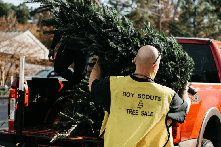 5 local spots to find your Christmas tree this year 5 local spots to find your Christmas tree this year