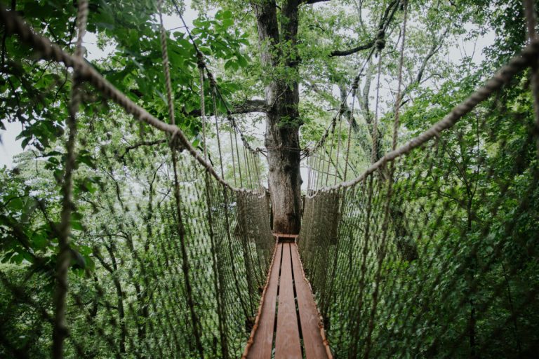 21 stunning hiking trails near Birmingham for all experience levels 21 stunning hiking trails near Birmingham for all experience levels