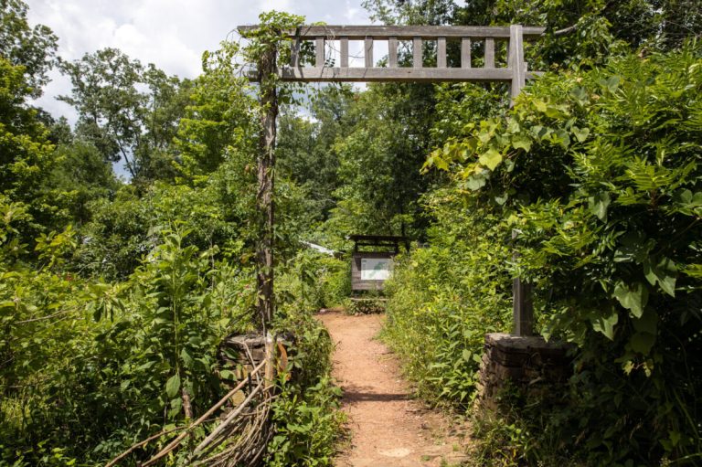 5 ways to spend your Earth Day in Birmingham 5 ways to spend your Earth Day in Birmingham