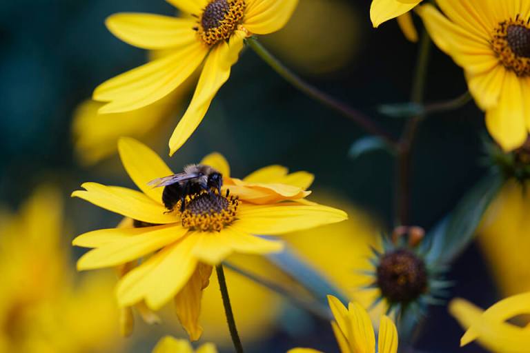 12 places to get local honey in Birmingham this season 12 places to get local honey in Birmingham this season