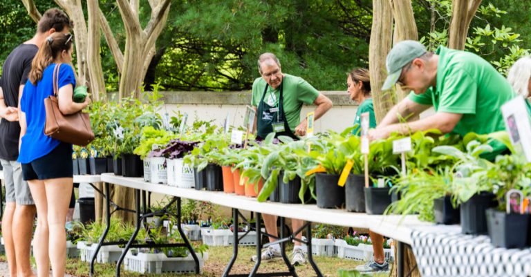 How you can become a champion for native plants and trees in Alabama How you can become a champion for native plants and trees in Alabama