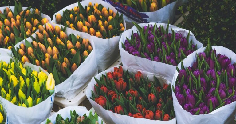 6 local pop-up markets this spring including the Punk Rock Flea Market at Cahaba Brewing 6 local pop-up markets this spring including the Punk Rock Flea Market at Cahaba Brewing