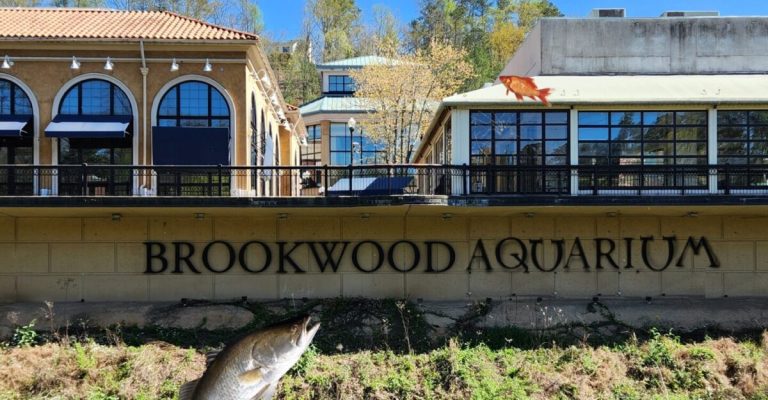Birmingham Aquarium joke gets surprising local support Birmingham Aquarium joke gets surprising local support