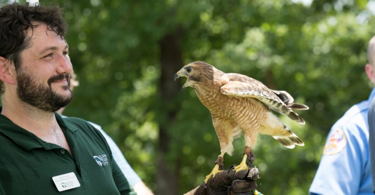 Urgent need at Alabama Wildlife Center—how you can help now Urgent need at Alabama Wildlife Center—how you can help now