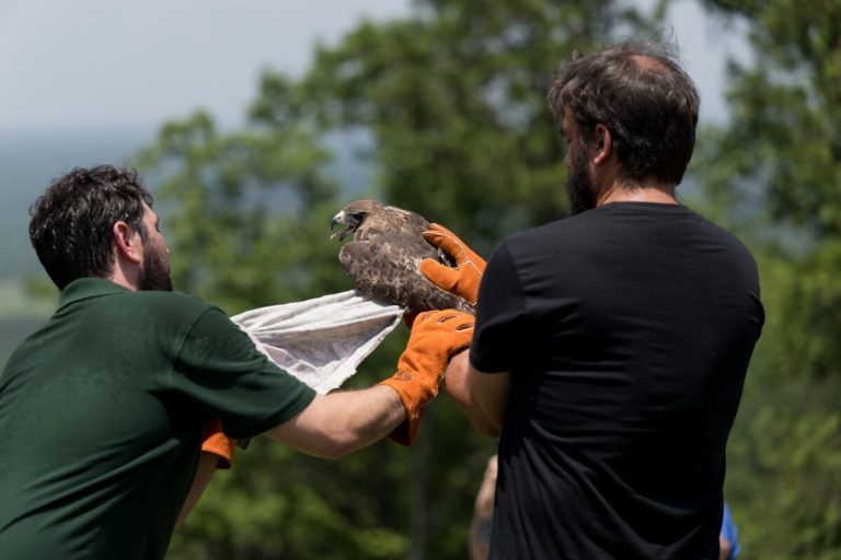 10 weekend events in Birmingham including speakeasy pop-up and national bird day festivities Jan. 3-5 10 weekend events in Birmingham including speakeasy pop-up and national bird day festivities Jan. 3-5