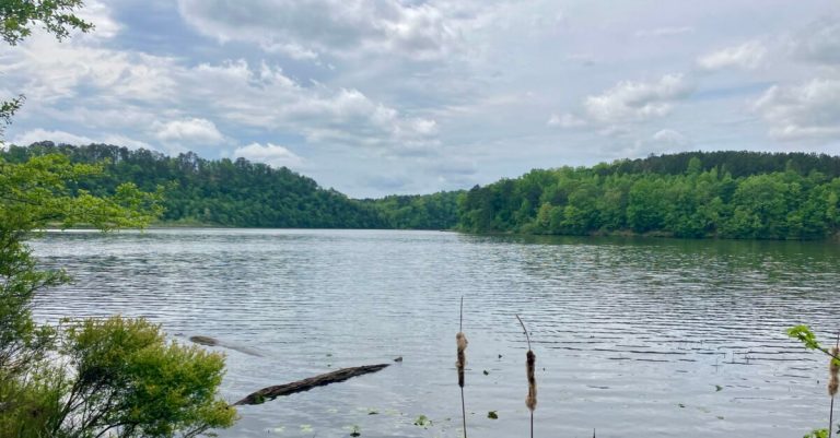 Land Trust acquires 366 acres at confluence of the Black Warrior, Mulberry Fork, Locust Fork rivers Land Trust acquires 366 acres at confluence of the Black Warrior, Mulberry Fork, Locust Fork rivers