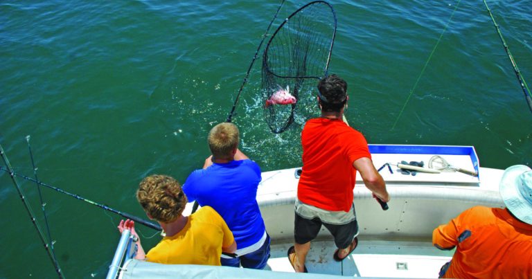 3 ways you can help Alabama’s Beaches stay beautiful 3 ways you can help Alabama’s Beaches stay beautiful