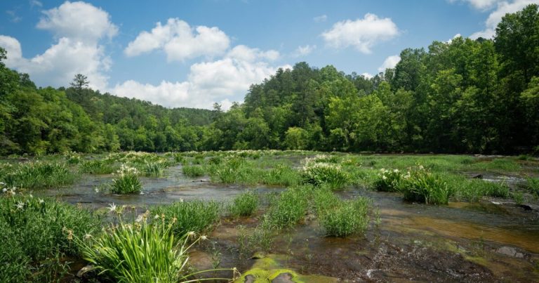 Birmingham to host world premiere of Southern Exposure films Birmingham to host world premiere of Southern Exposure films