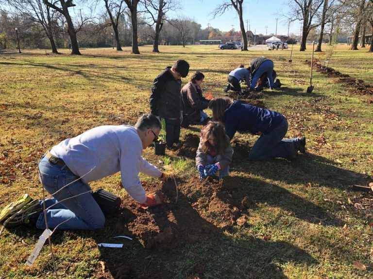 Keep Birmingham beautiful + plant new trees during these 4 Arbor Day events Keep Birmingham beautiful + plant new trees during these 4 Arbor Day events