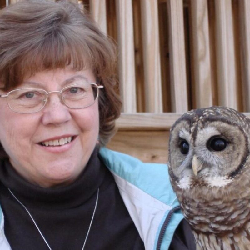 Coosa, Alabama Wildlife Center’s cherished ambassador owl, has passed away Coosa, Alabama Wildlife Center’s cherished ambassador owl, has passed away