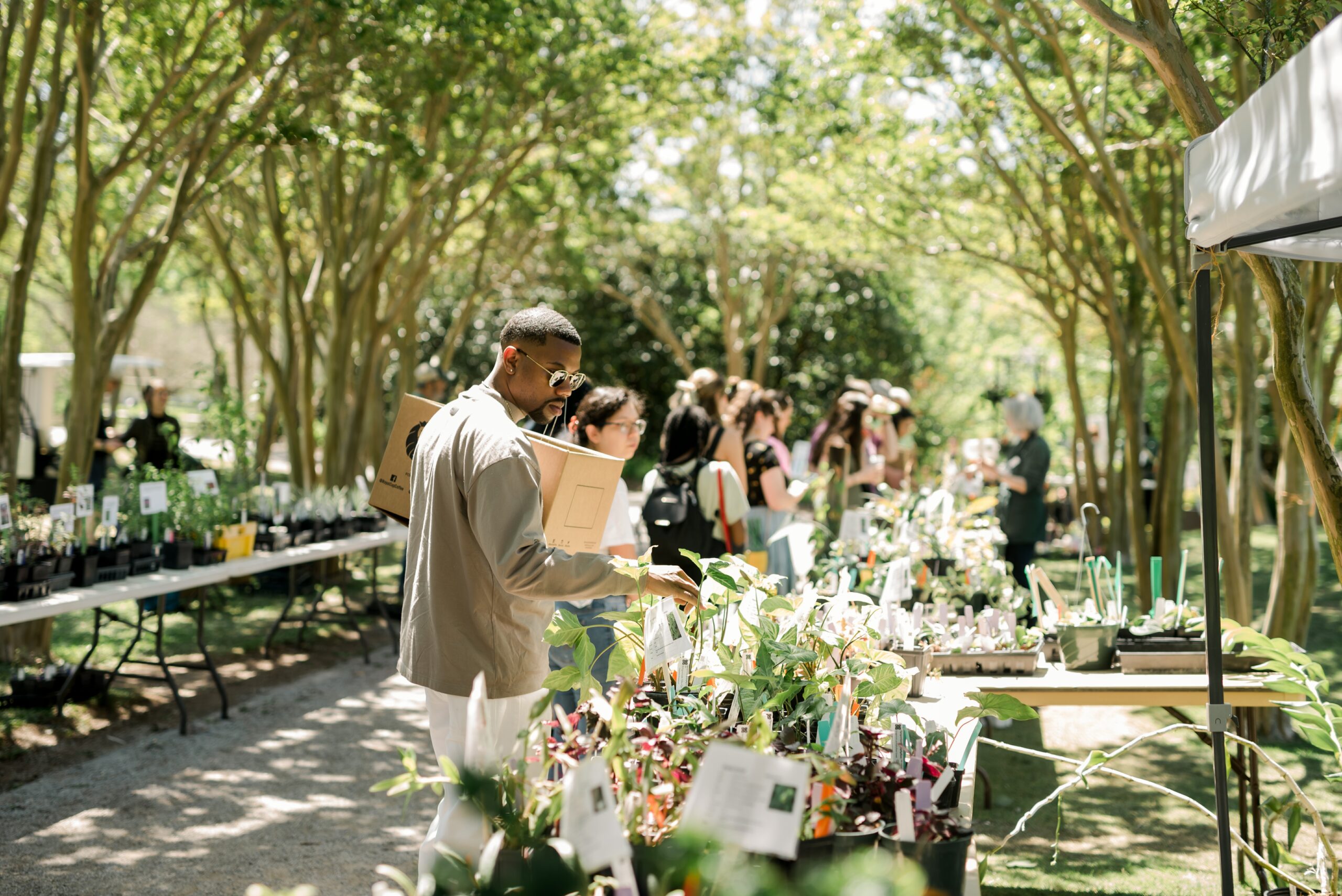3 reasons to love Birmingham Botanical Gardens + become a member 3 reasons to love Birmingham Botanical Gardens + become a member