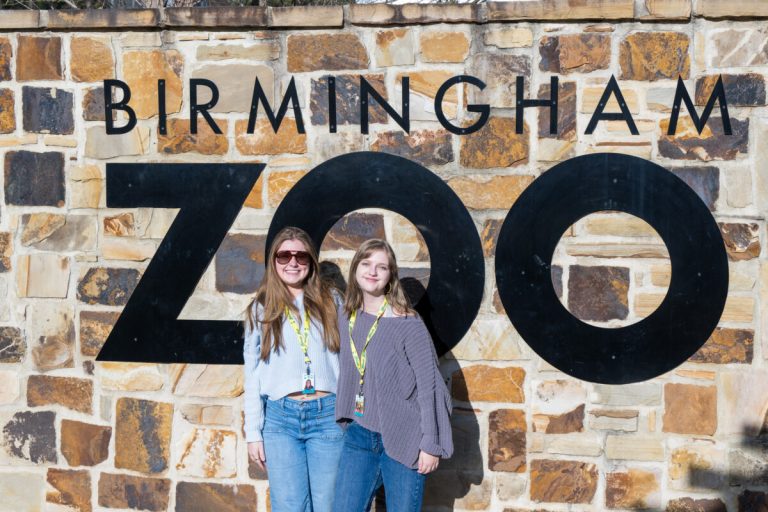 6 end-of-summer activities to keep you entertained at the Birmingham Zoo 6 end-of-summer activities to keep you entertained at the Birmingham Zoo