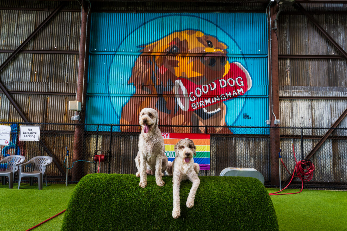 Good Dog just got an upgrade—treat your pup to a boutique hotel