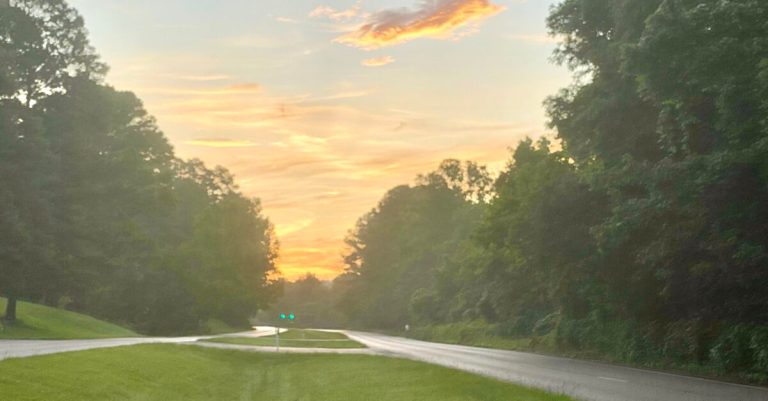 Where is the lake on Lakeshore Drive in Homewood? Where is the lake on Lakeshore Drive in Homewood?