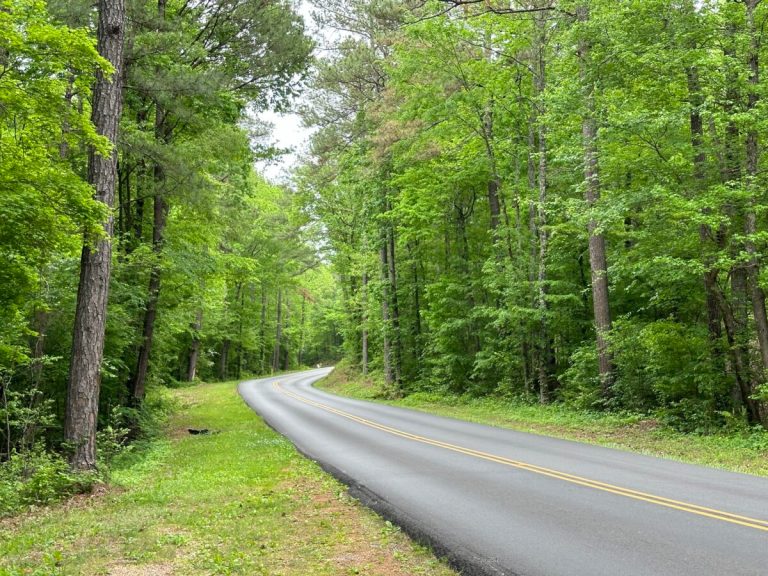 New 400-acre Hueytown nature preserve sets 2026 opening date New 400-acre Hueytown nature preserve sets 2026 opening date