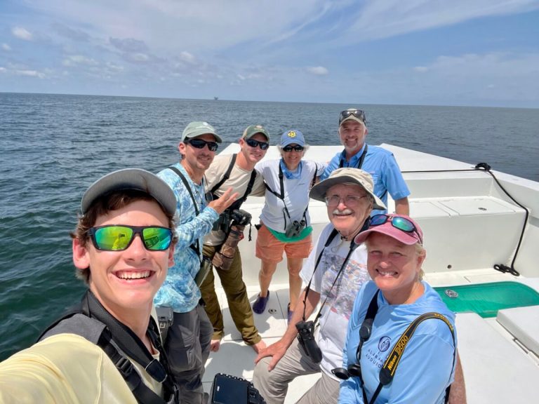 New bird species identified in Alabama as birdwatching community of all ages comes together New bird species identified in Alabama as birdwatching community of all ages comes together