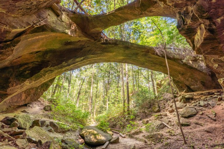 Alabama’s Natural Bridge Park reopens; plan a visit to this unique hidden gem Alabama’s Natural Bridge Park reopens; plan a visit to this unique hidden gem
