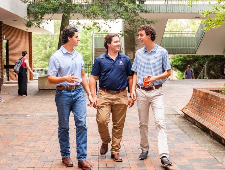 How these 3 Auburn students are giving local farmers a voice through policy, economics + more How these 3 Auburn students are giving local farmers a voice through policy, economics + more