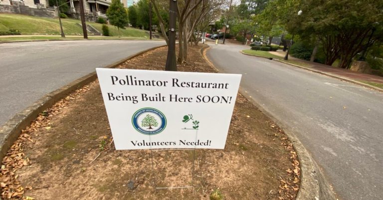 New Pollinator Restaurant + Bee Brew Pub coming to Highland Avenue New Pollinator Restaurant + Bee Brew Pub coming to Highland Avenue