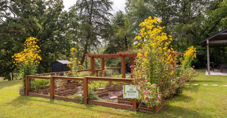 Birmingham ranked best place for urban gardening in Alabama Birmingham ranked best place for urban gardening in Alabama