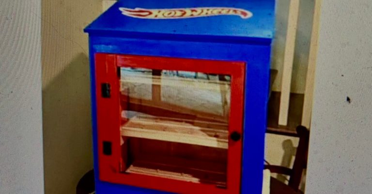 First known ‘Hot Wheels’ car library to appear in Homewood First known ‘Hot Wheels’ car library to appear in Homewood