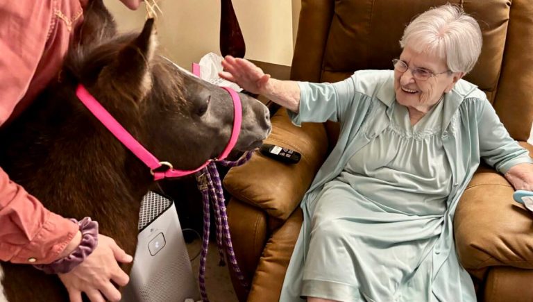 Meet Winnie: Alabama’s first mobile miniature therapy horse Meet Winnie: Alabama’s first mobile miniature therapy horse