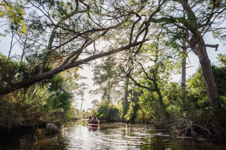 Winter wildlife getaway along Alabama’s Gulf Coast—all you need to know + how to go Winter wildlife getaway along Alabama’s Gulf Coast—all you need to know + how to go
