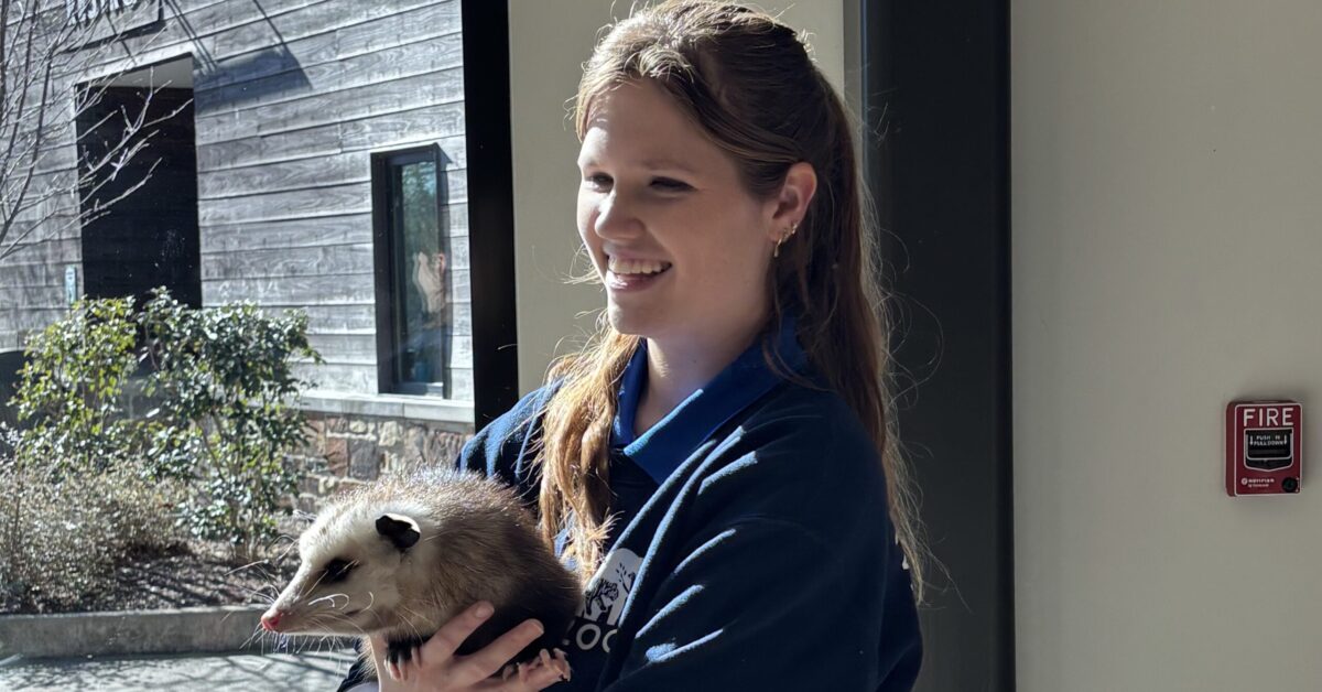 Early spring? Late winter? Here’s what Birmingham Jill predicted