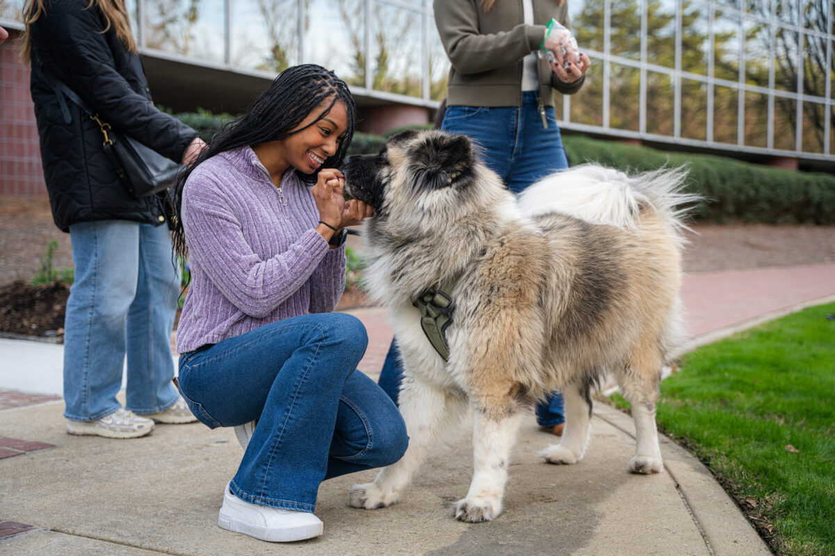 Pets, ping pong + purpose—inside one of the country’s top-rated workplaces
