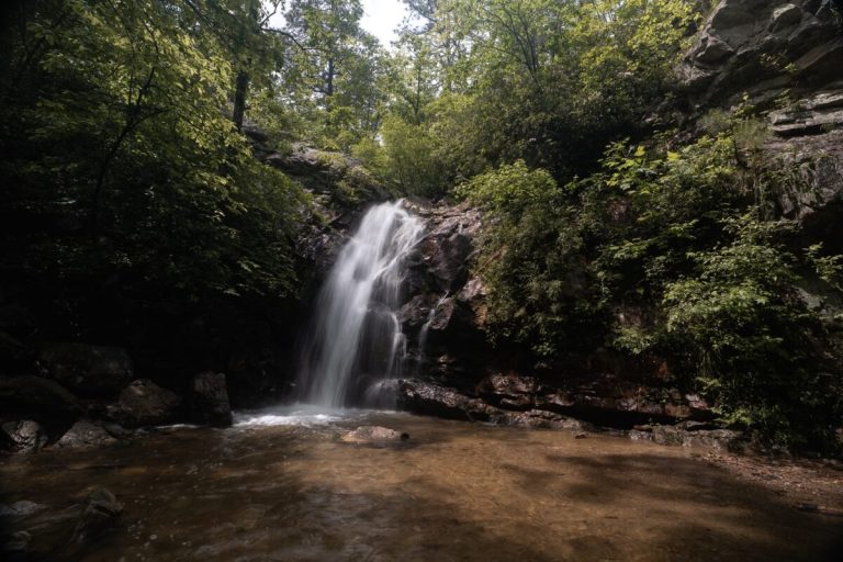 Oak Mountain named 5th most affordable and scenic state park in U.S. Oak Mountain named 5th most affordable and scenic state park in U.S.