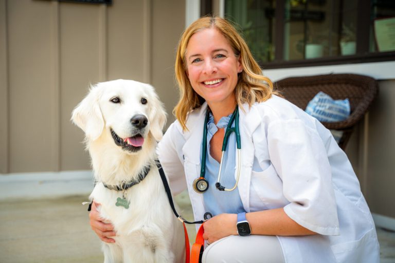 4 things every Birmingham pet owner should know, according to this local expert 4 things every Birmingham pet owner should know, according to this local expert