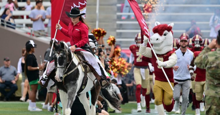 Birmingham Stallions say goodbye: Why the 3-time champions are done Birmingham Stallions say goodbye: Why the 3-time champions are done