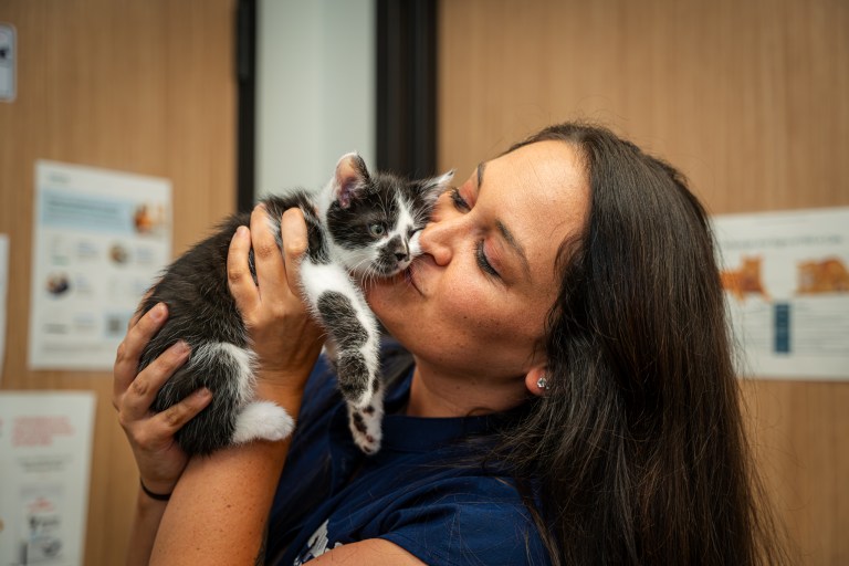 What’s a “Fear Free” vet + how to find one in Birmingham What’s a “Fear Free” vet + how to find one in Birmingham