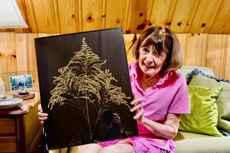 How Birmingham artist + former law partner Carol Stewart found new purpose through native plant art How Birmingham artist + former law partner Carol Stewart found new purpose through native plant art