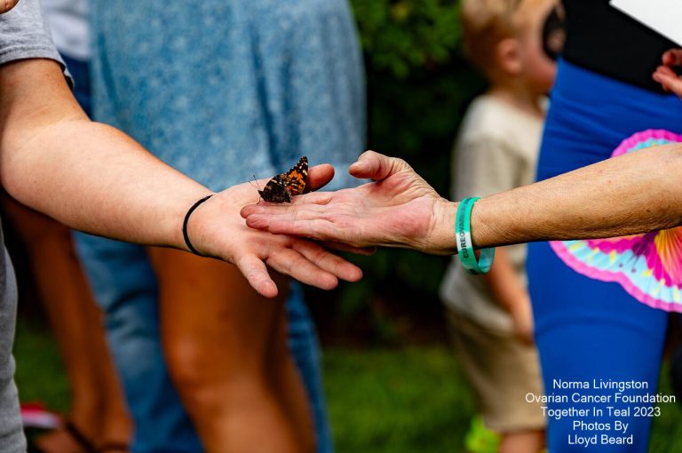 See 400+ butterflies released on Sunday, Sept 13—find out how to join this important cause See 400+ butterflies released on Sunday, Sept 13—find out how to join this important cause