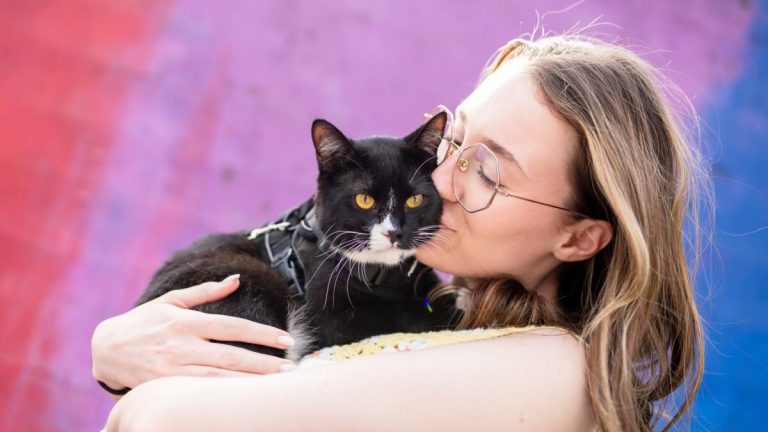 0,000 donation will fund spay and neuter surgeries at Alabama Spay Neuter Clinic 0,000 donation will fund spay and neuter surgeries at Alabama Spay Neuter Clinic