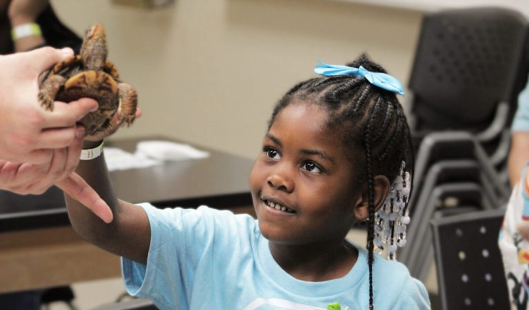 What Alabama schools love about these hands-on field trips What Alabama schools love about these hands-on field trips