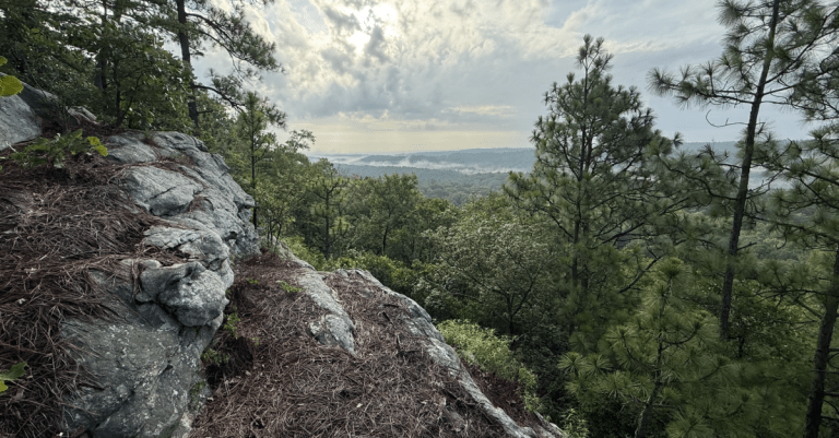 New scenic mountain bike trail opens at Oak Mountain State Park New scenic mountain bike trail opens at Oak Mountain State Park