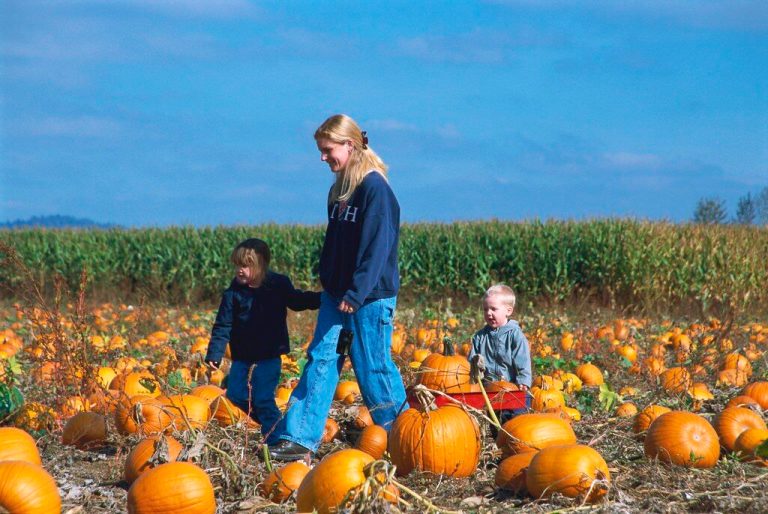 15 fall festivals, Oktoberfests + more you will love in 2026 15 fall festivals, Oktoberfests + more you will love in 2026